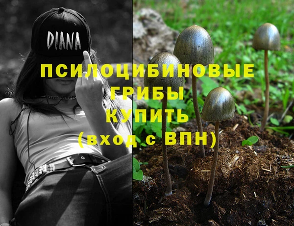 бутират Абинск