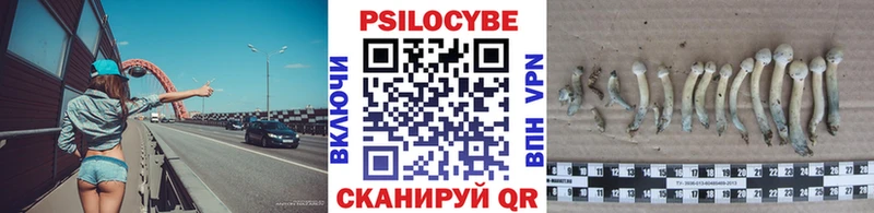 Псилоцибиновые грибы мухоморы  Екатеринбург 